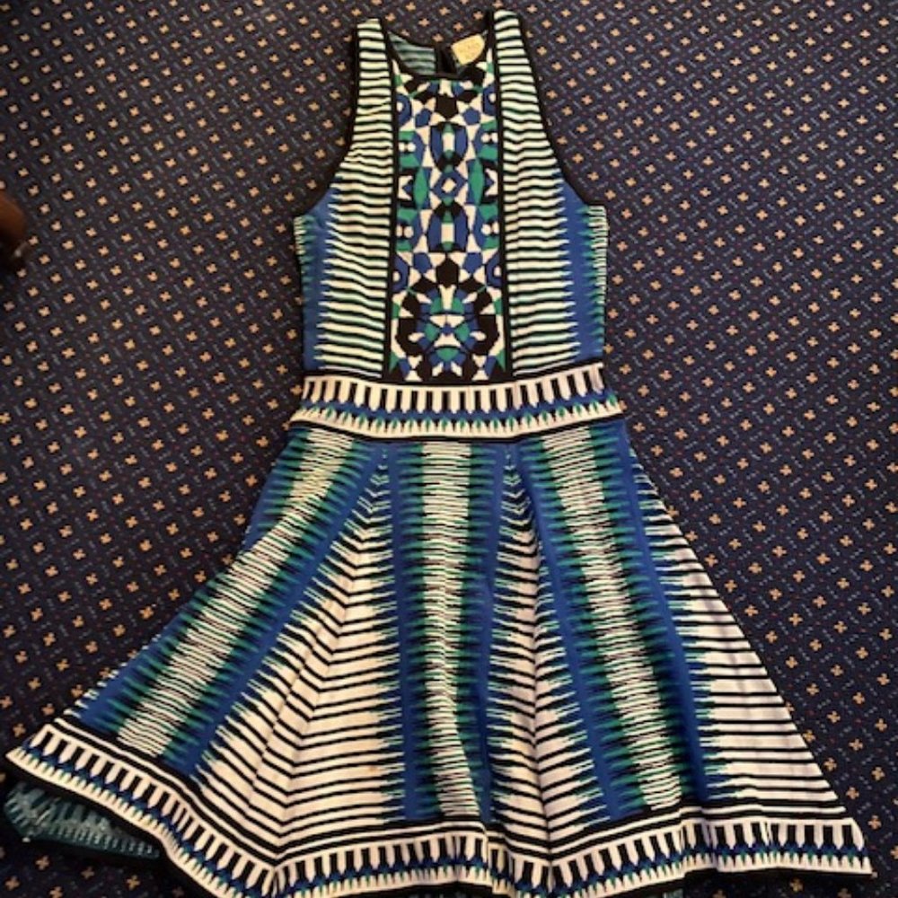 Torn by Ronny Kobo Printed Knit Dress